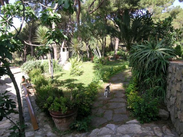 appartamento vacanze Elba